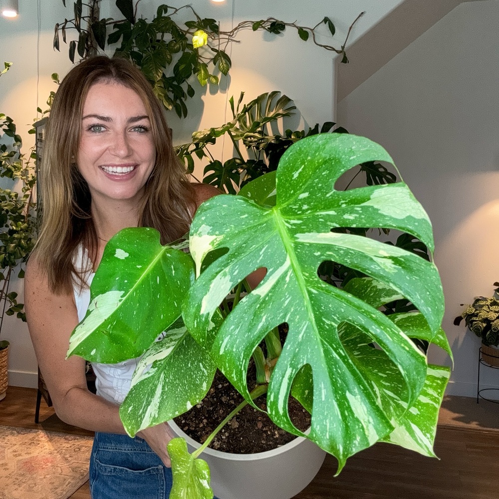 lady holding plant for good health