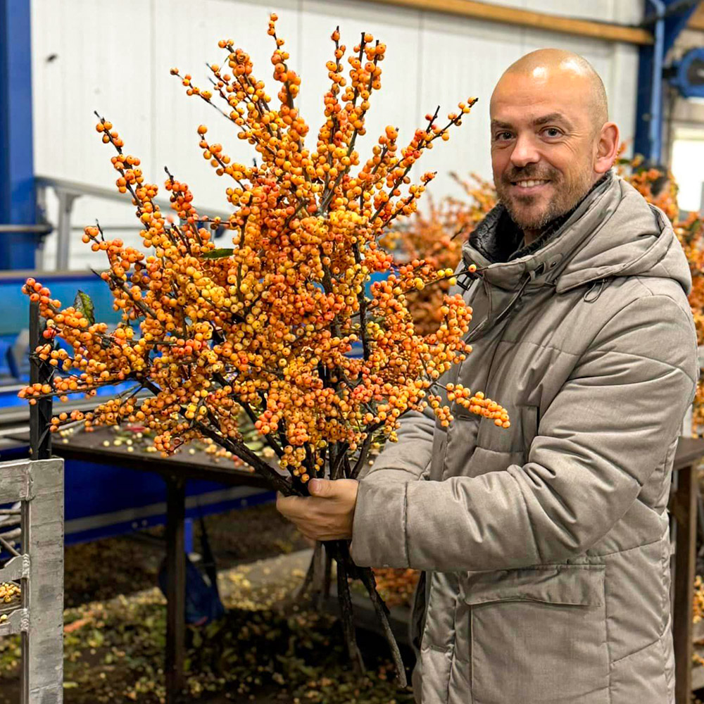 Radical Wonders Marty Star with orange Ilex