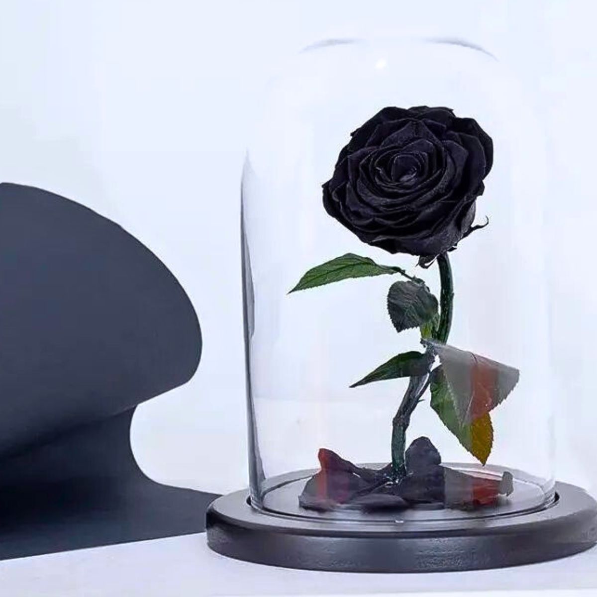 Black preserved rose