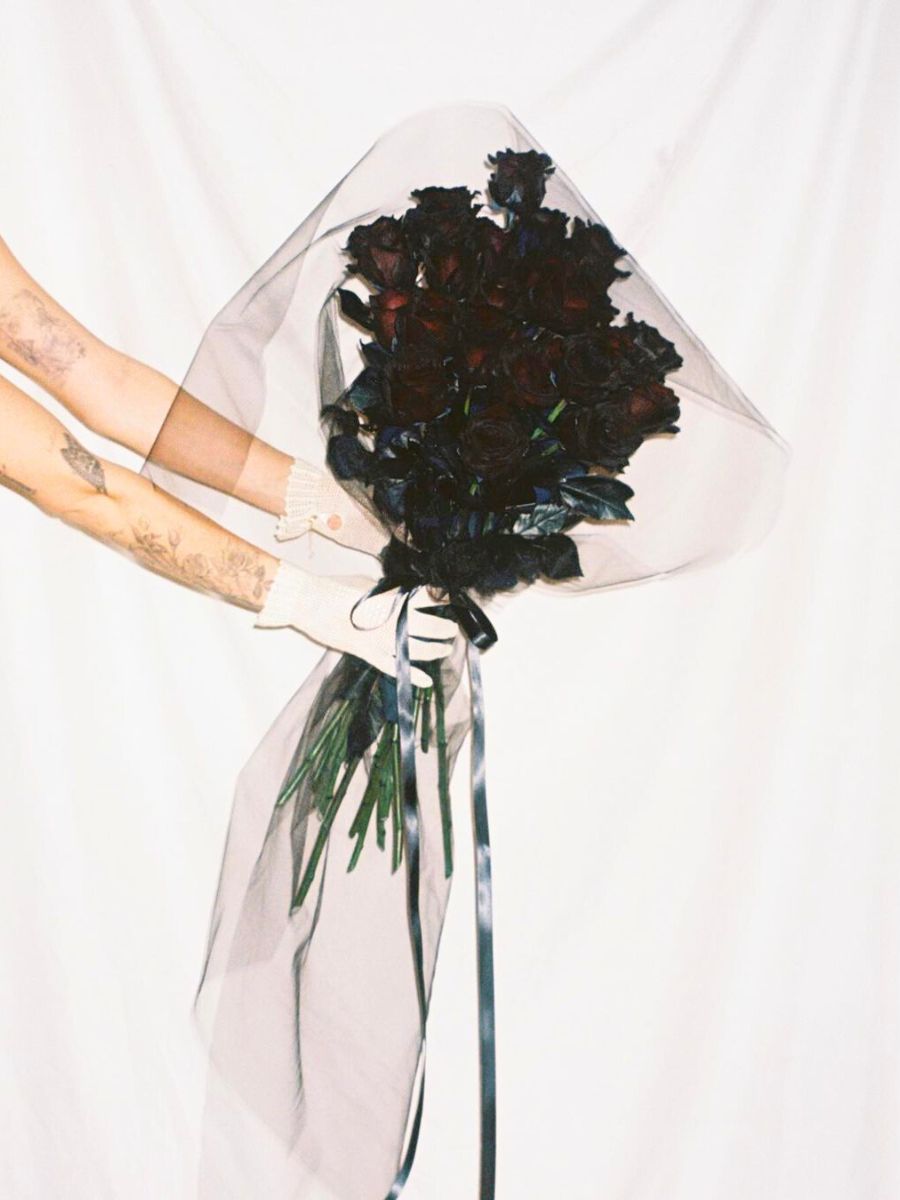 Dark colored almost black roses for a shoot