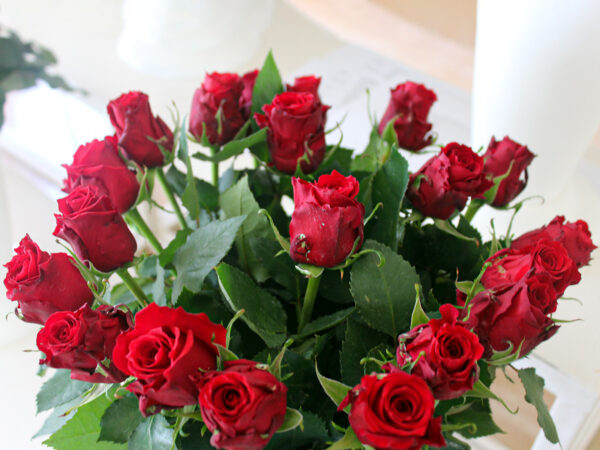 Red roses pair with white wrapper is definitely a good choice if u want it  to be minimal and focusing on th…