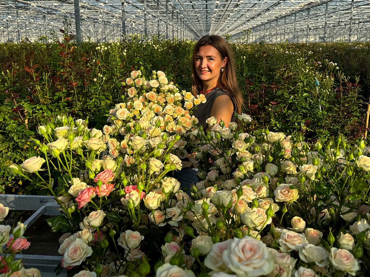 Ramona Fransen with spray roses in greenhouse