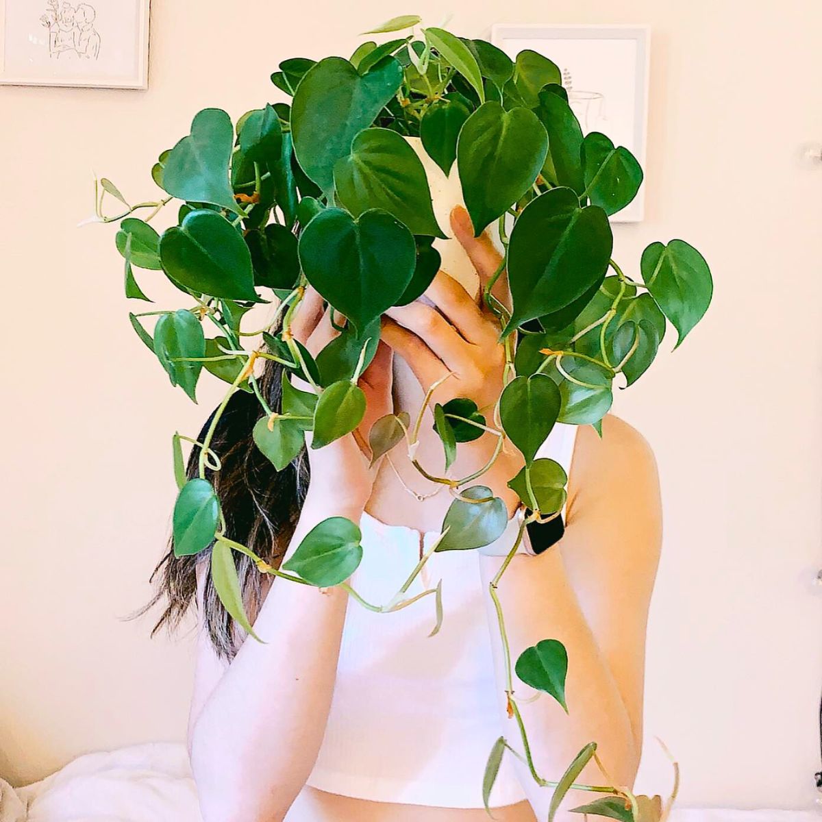 woman posing with potted philodendron cordatum