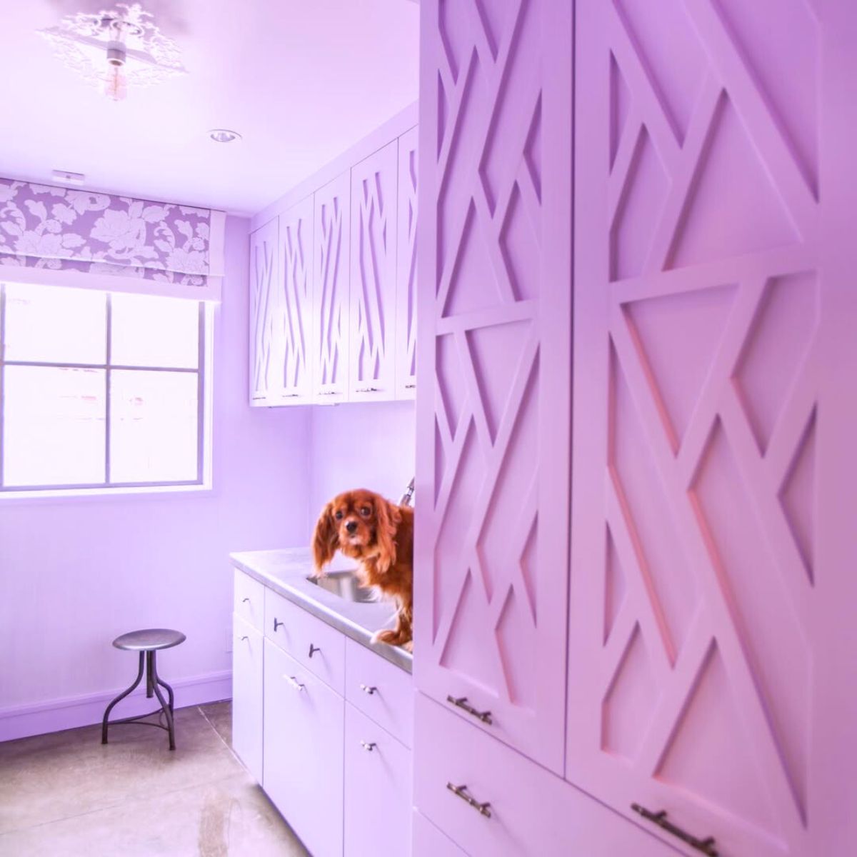 A kitchen in Amethyst Glow color