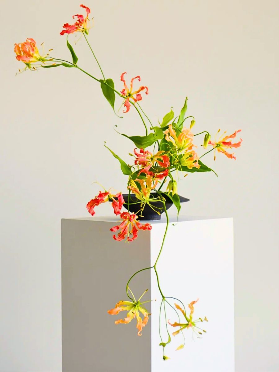 Ikebana for Beginners