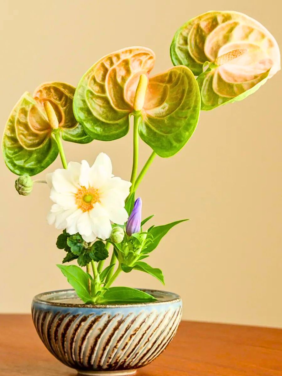 Ikebana for Beginners