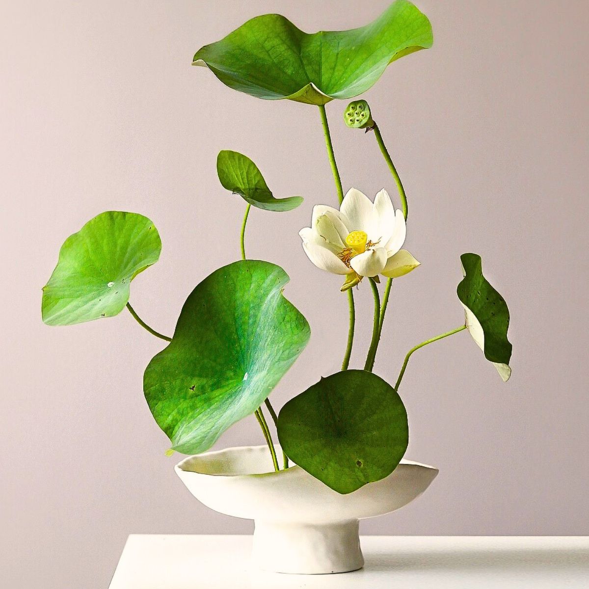 Ikebana for Beginners