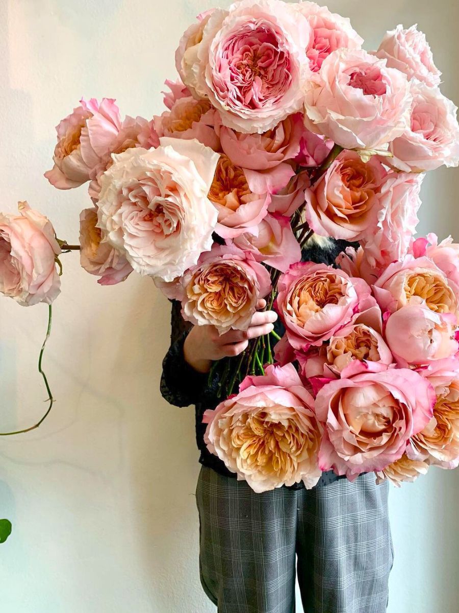 A huge bouquet of garden roses by Alexandra Farms