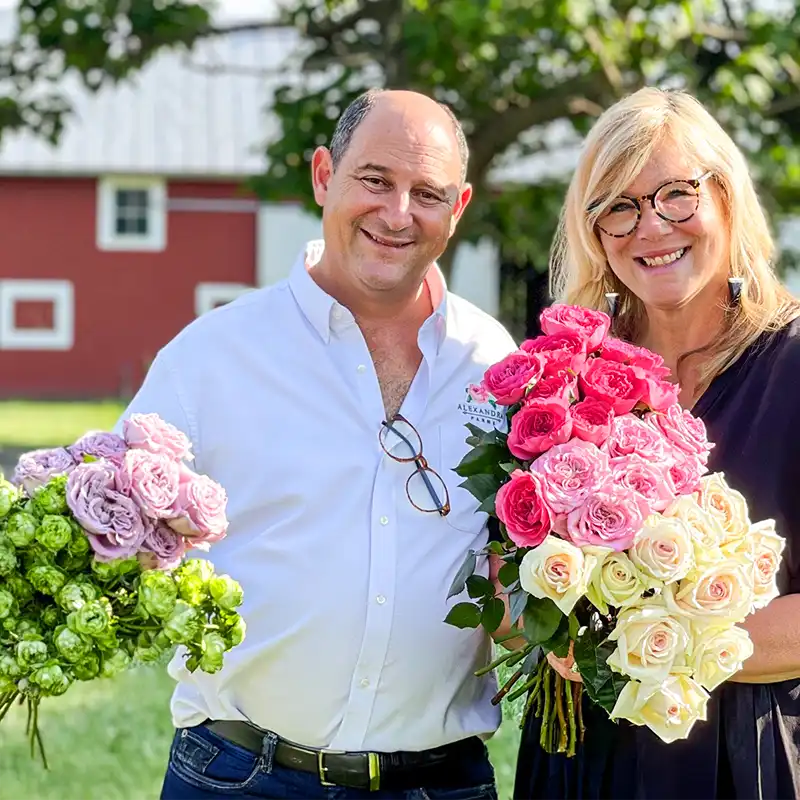 Garden roses by Alexandra Farms