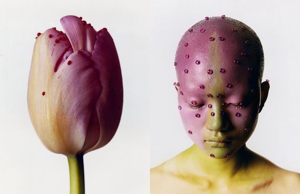 Gi Seok Cho Uses Flowers to Express His Thoughts in Colorful Photograhps Floral Photography