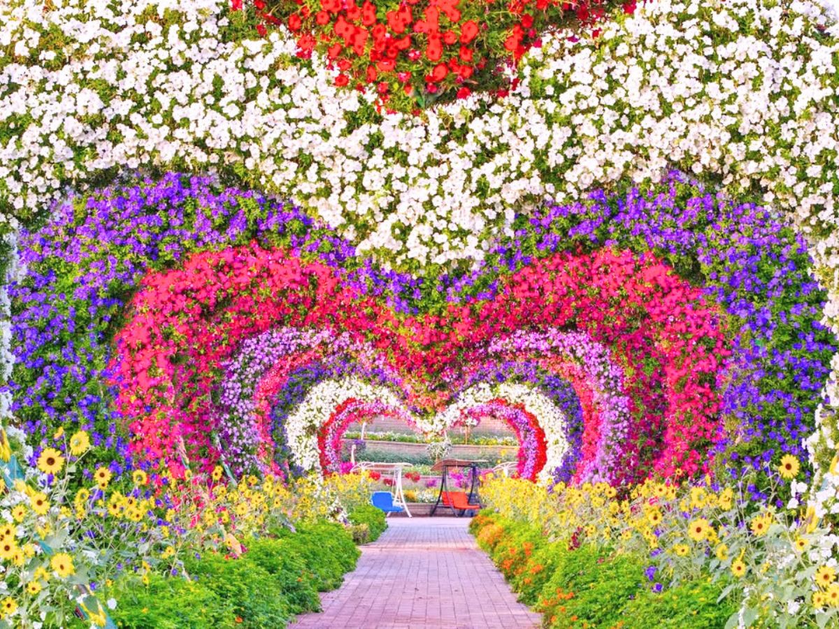 A heart tunnel in the Dubai Miracle Garden