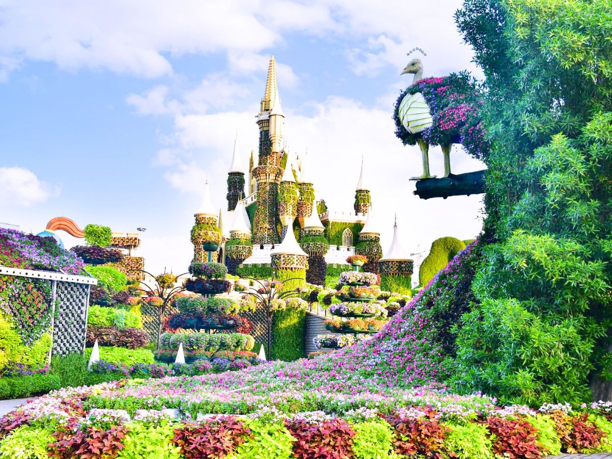 Part of the castle filled with plants and flowers