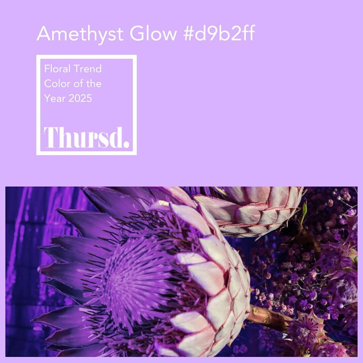 Amethyst Glow Floral Trend Color Thursd