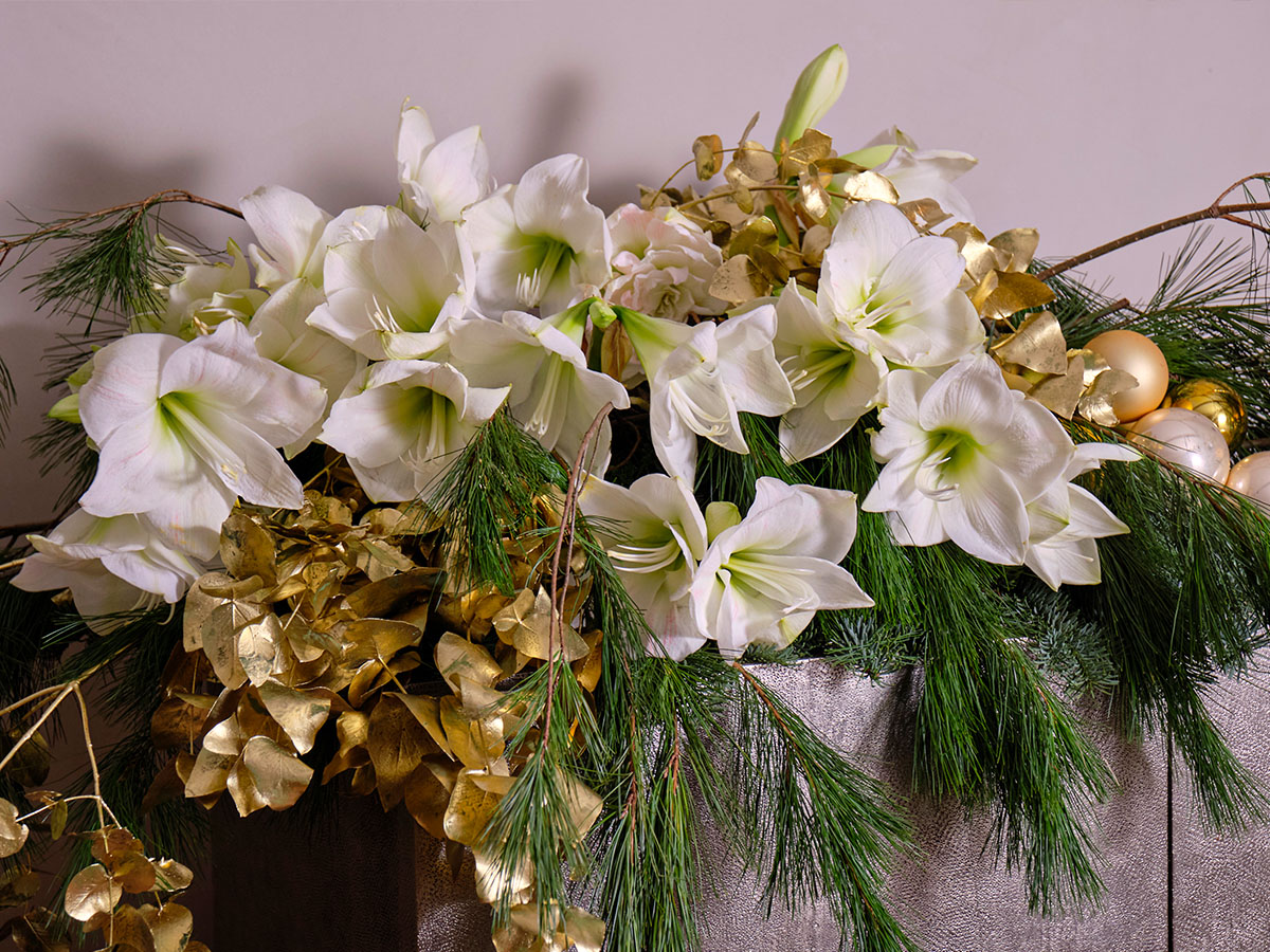 White Amaryllis design with gold and Christmas branches