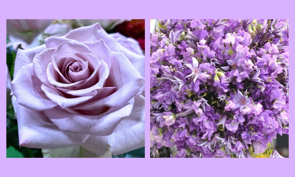 Amethyst Glow Thursd Floral Trend Color of the Year 2025