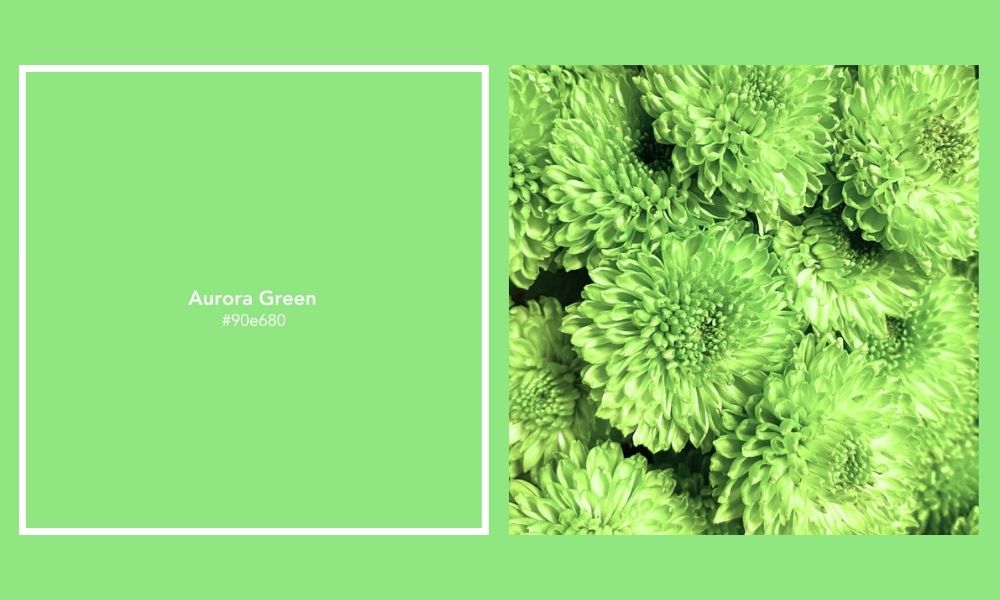 The Aurora Glow Aurora Green Trend Color Palette of the Year 2025