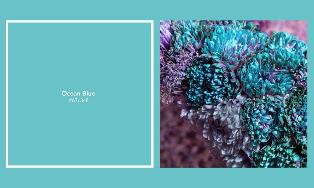 The Aurora Glow Ocean Blue Thursd Floral Trend Color Palette of the Year 2025