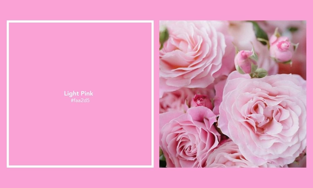 The Aurora Glow Light Pink Thursd Floral Trend Color Palette of the Year 2025