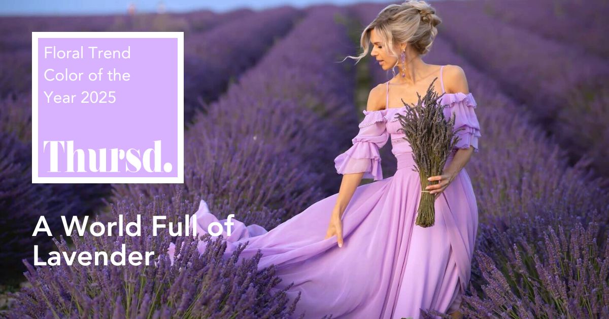 Lavender flower meaning