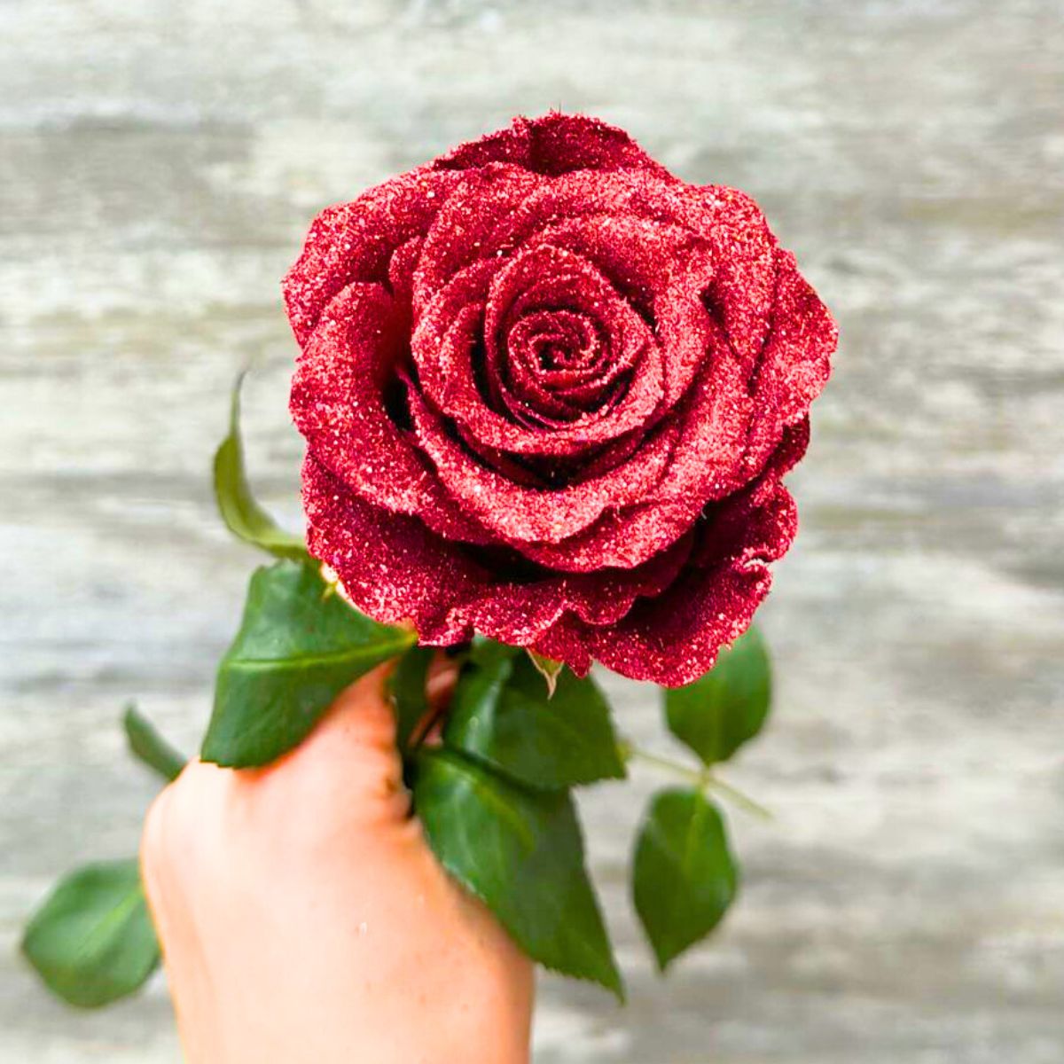 Red glitter rose