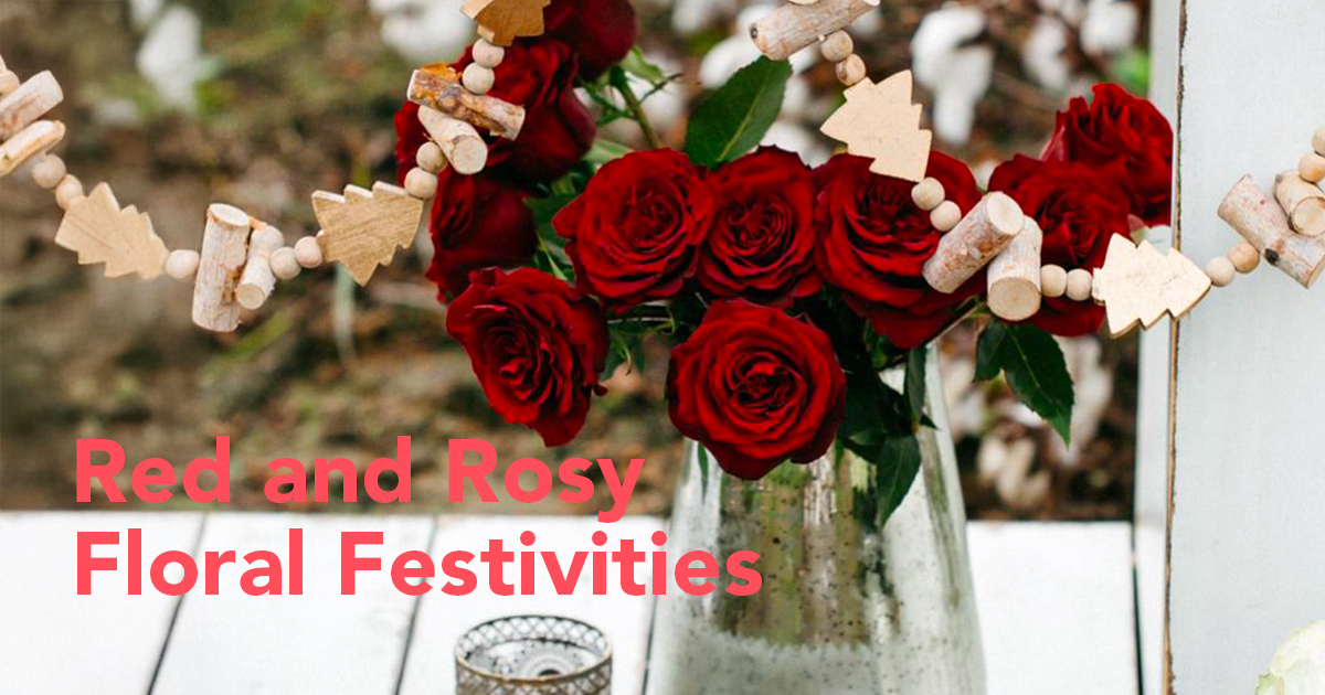 Red Roses Perfect for the Festive Season and Christmas Holidays