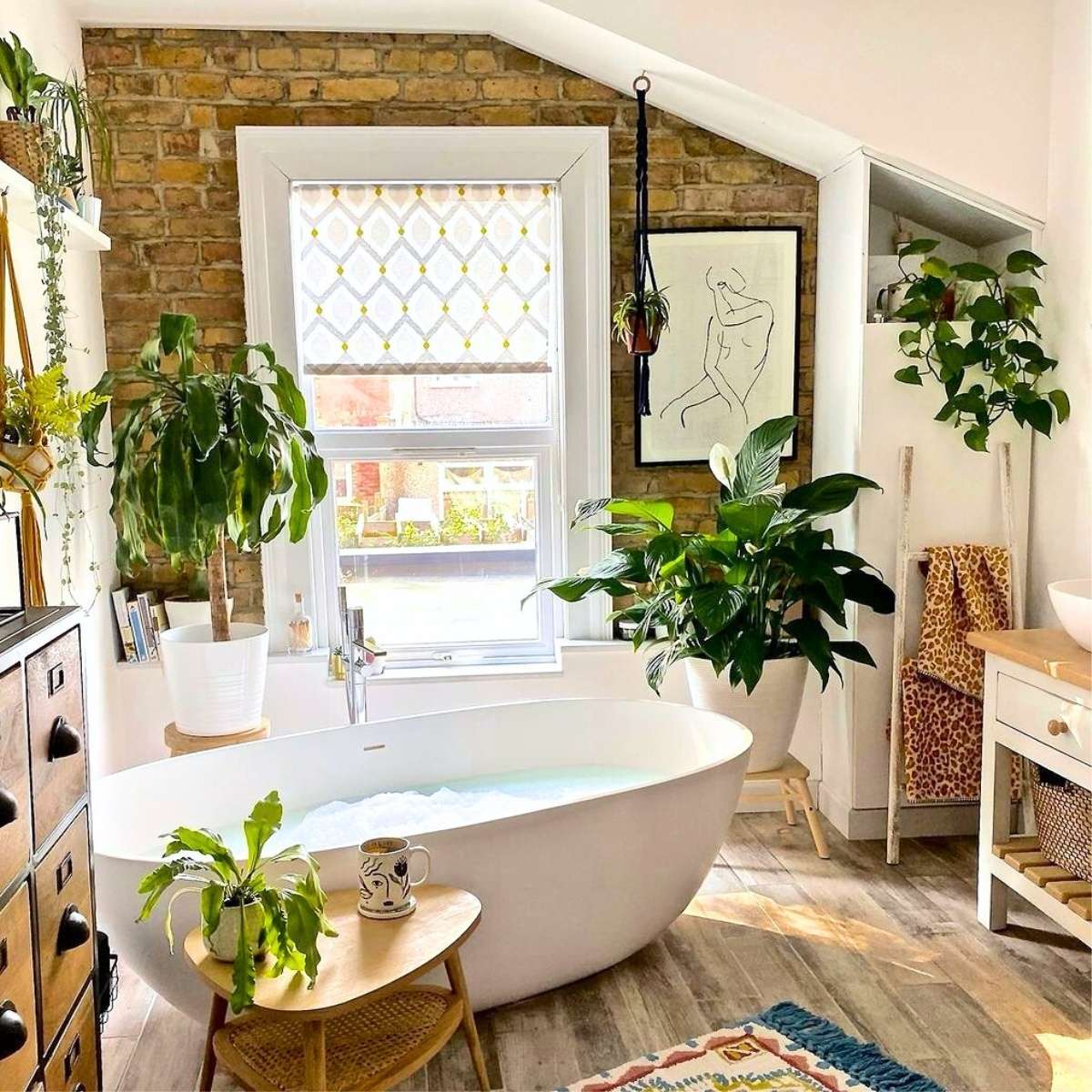 Bathroom plants for decoration