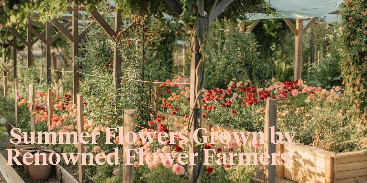 6 Flower Farmers and Their Top Summer Flowers - Thursd Article - Header Image