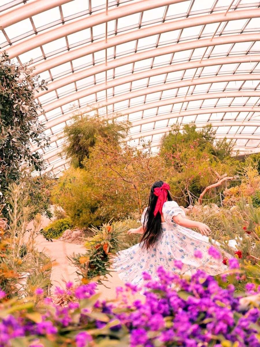 Inside of Wales Botanic Garden glasshouse