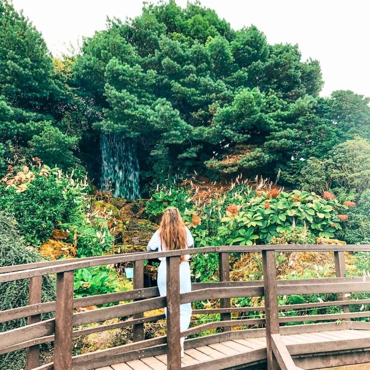 Visitor at the Edinburgh Botanic Gardens