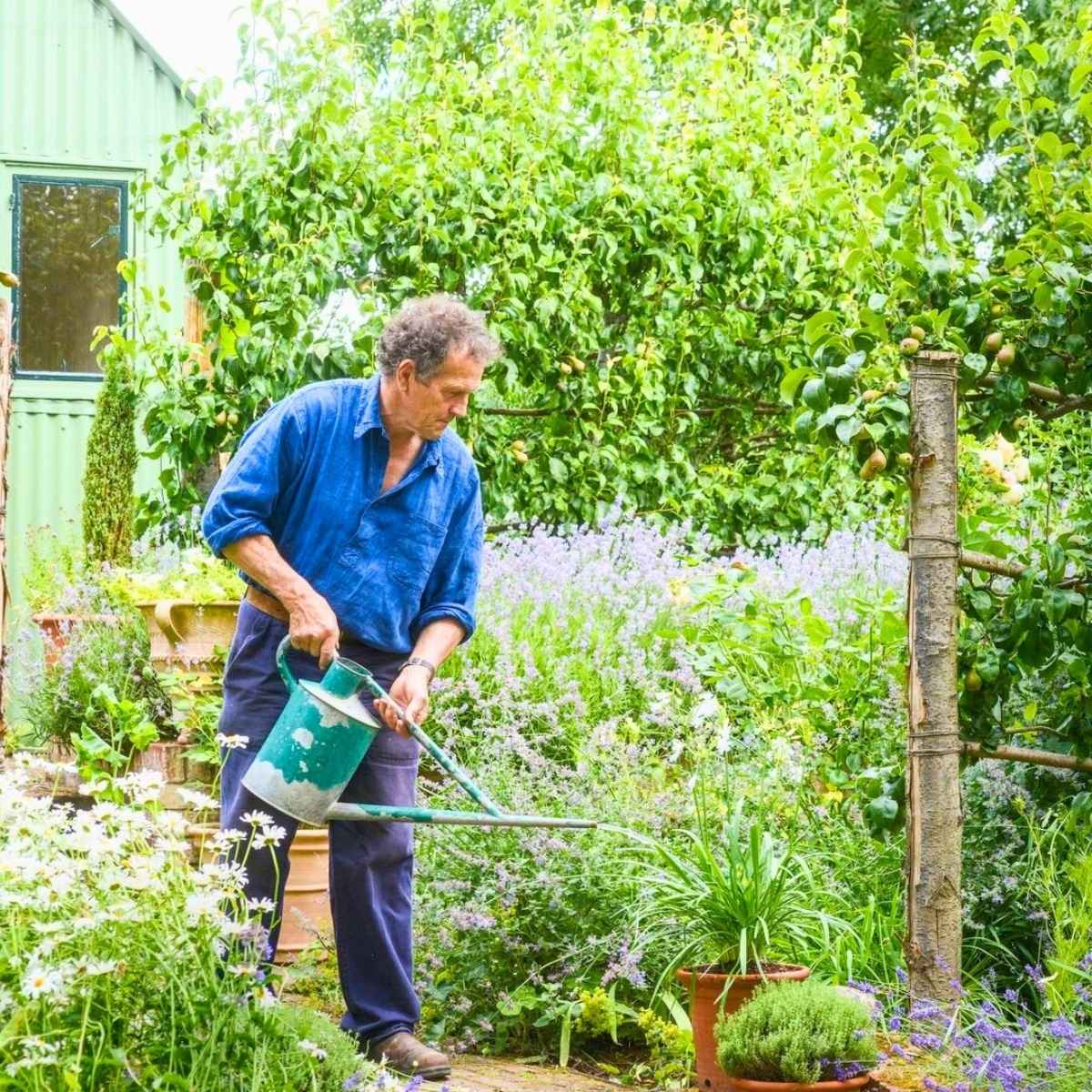 Watering plants in a garden