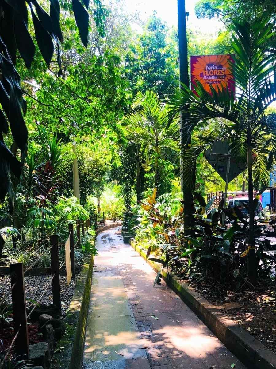 Trees sorround streets in Medellin