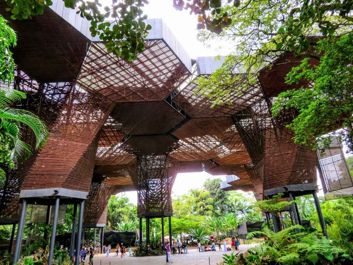 Trees surrounding city spaces