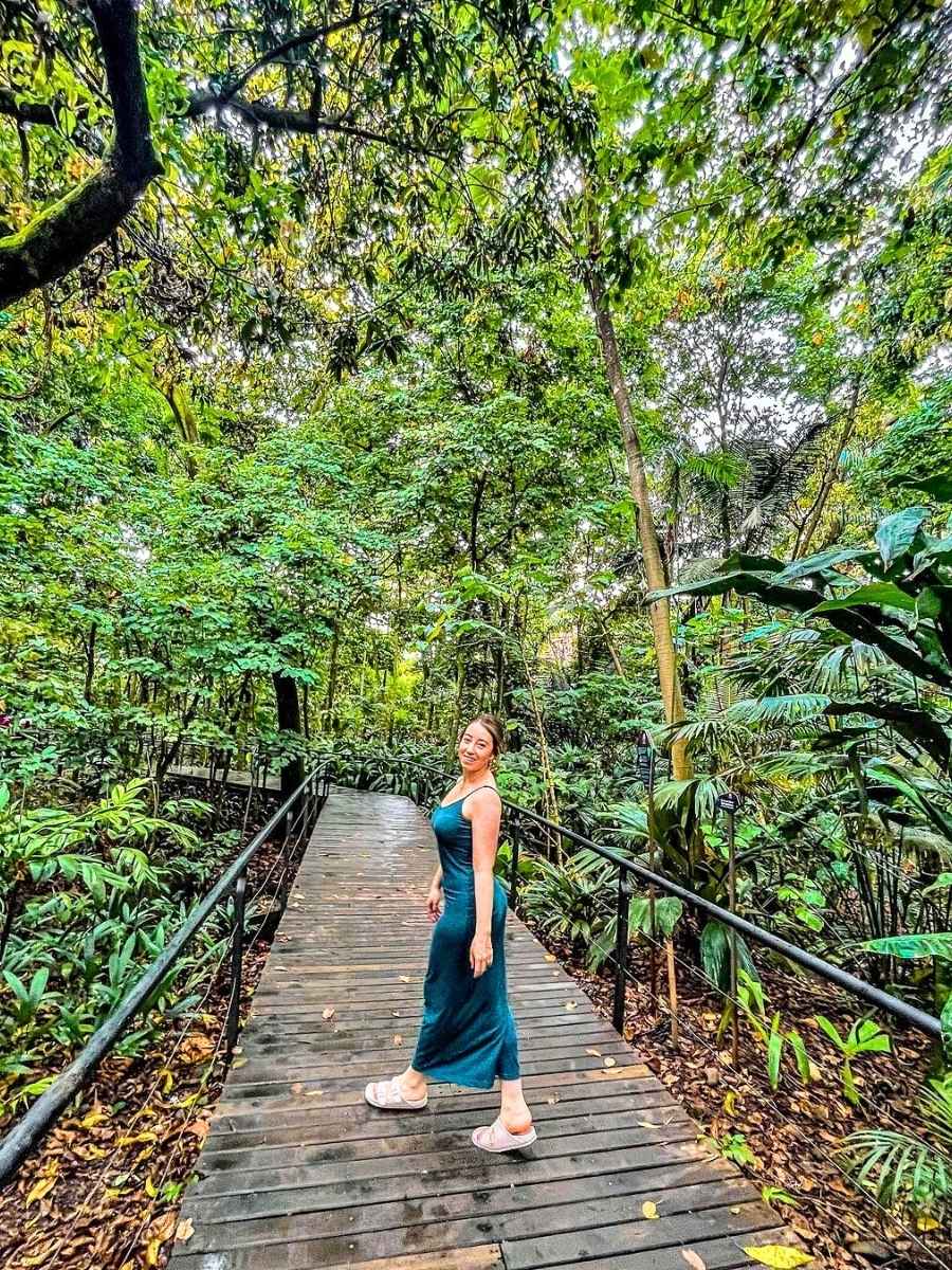 Green corridors in Medellin filled with trees