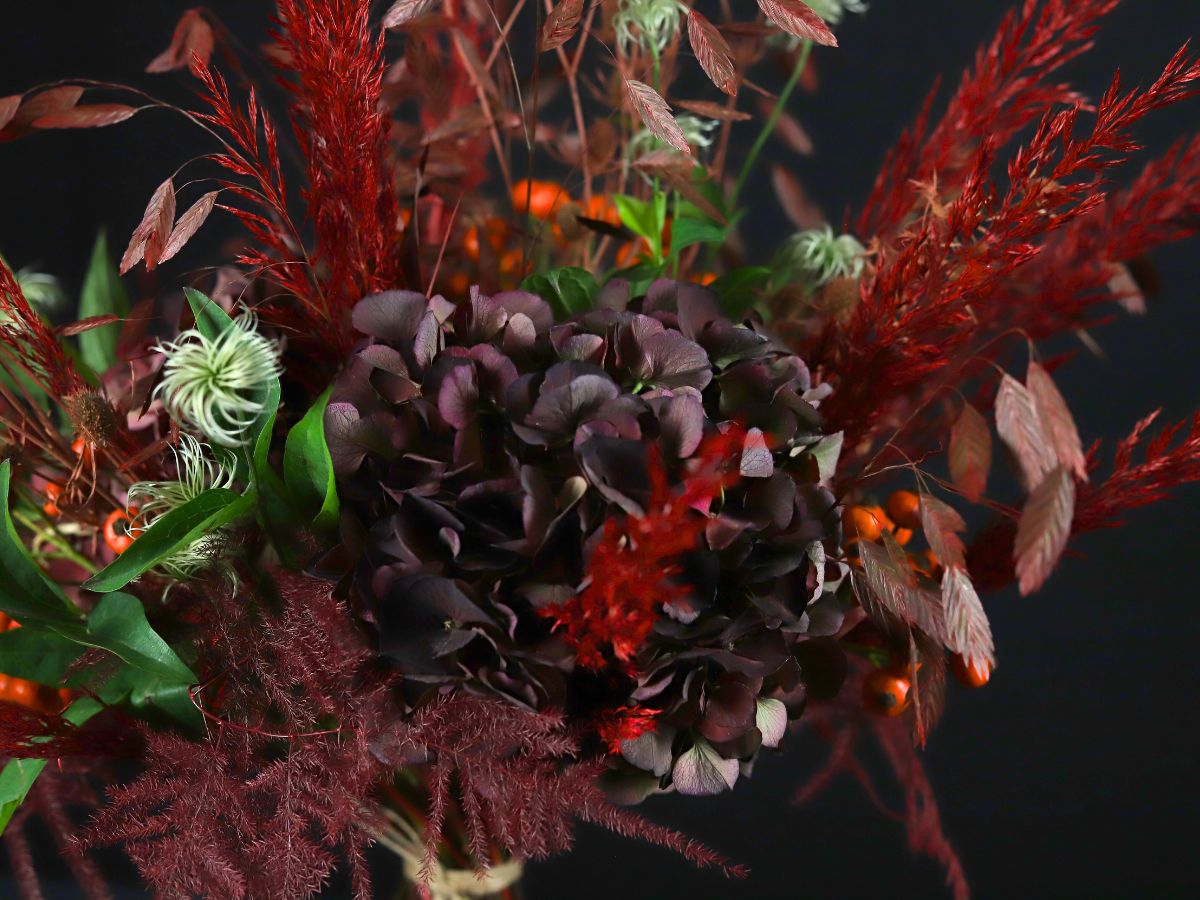 Burgundy dark hydrangea amongst foliage