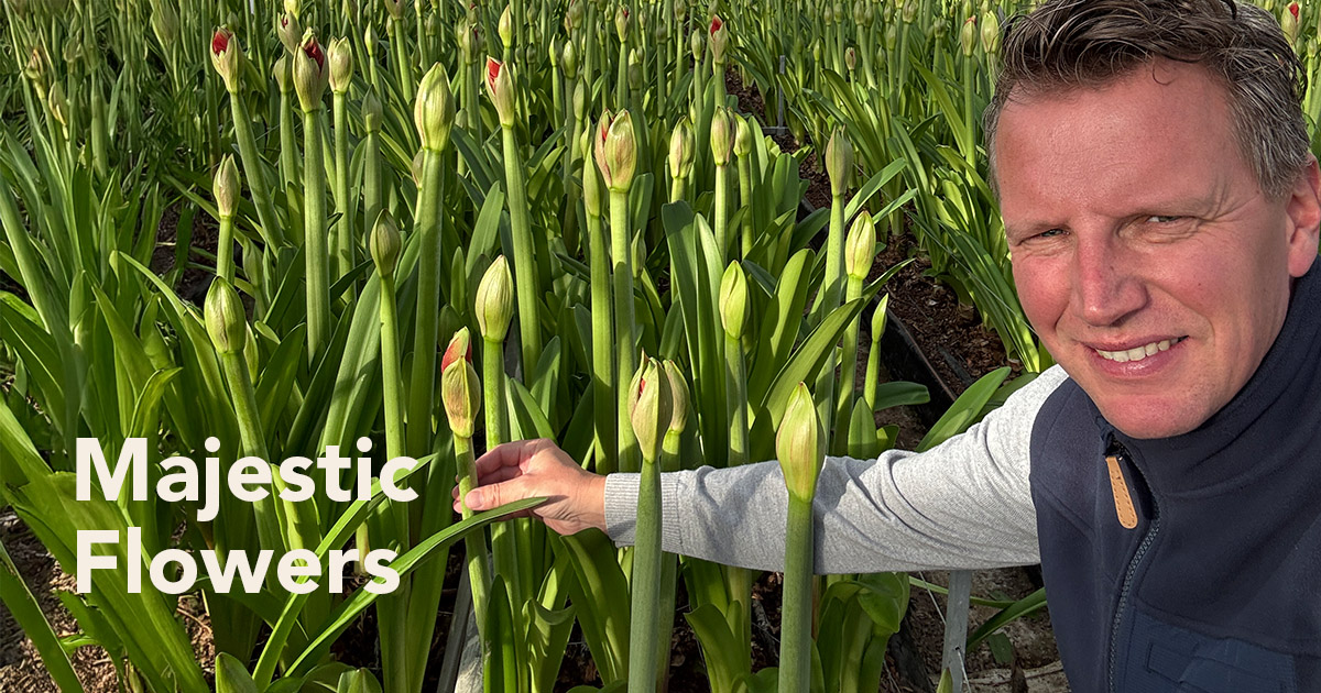 Peter van Delft at Van der Ende Flowers