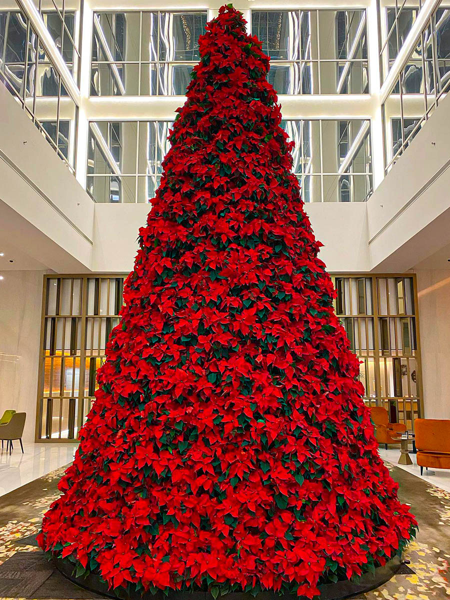 Poinsettia Christmas Tree by Maya Toubia