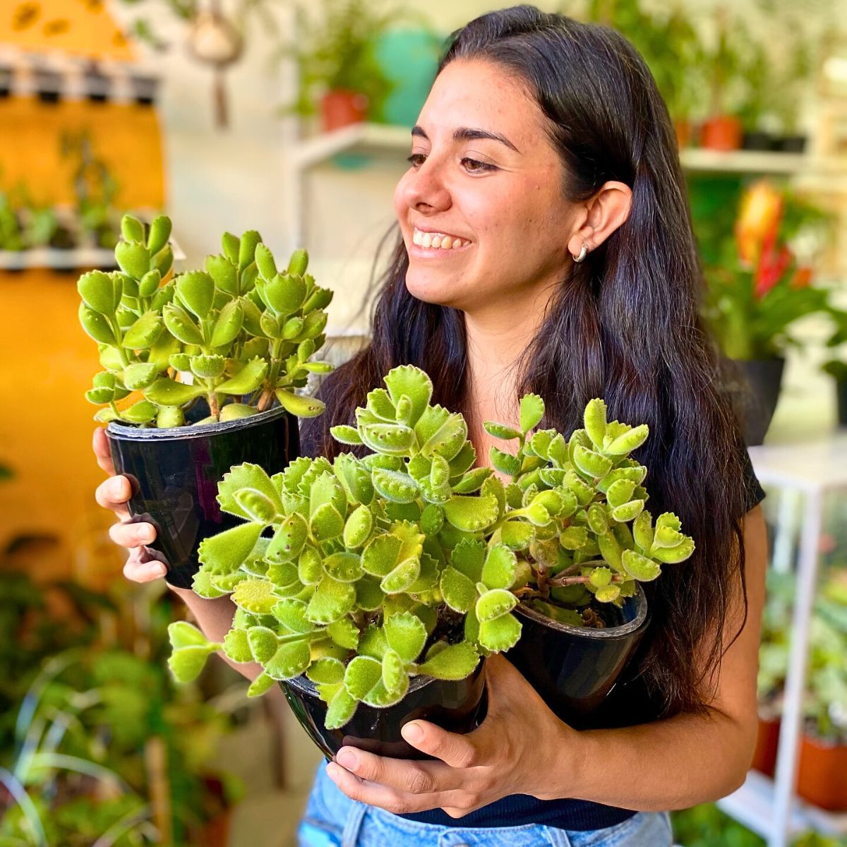 Do Plants Feel Pain the Same Way People and Animals Do?