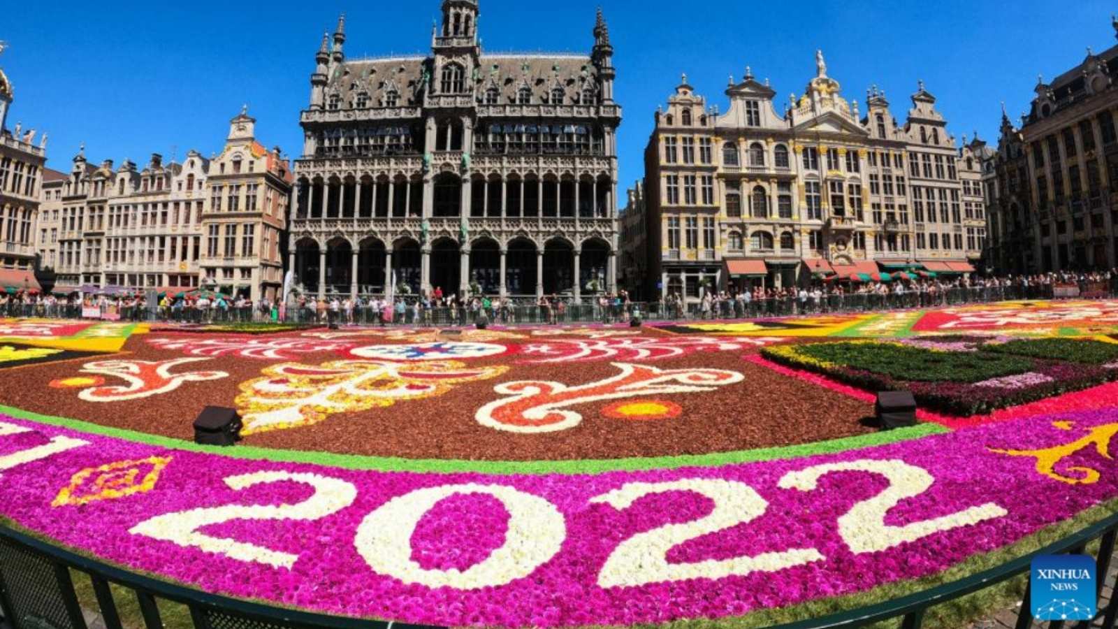 Flower Carpet Brussels 2022 Close Up on Thursd