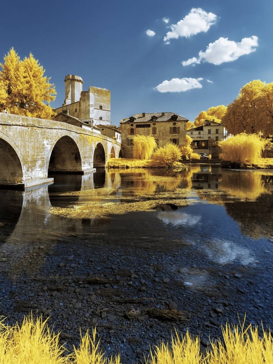 Pierre-Louis Ferrer Captures Nature in Yellow