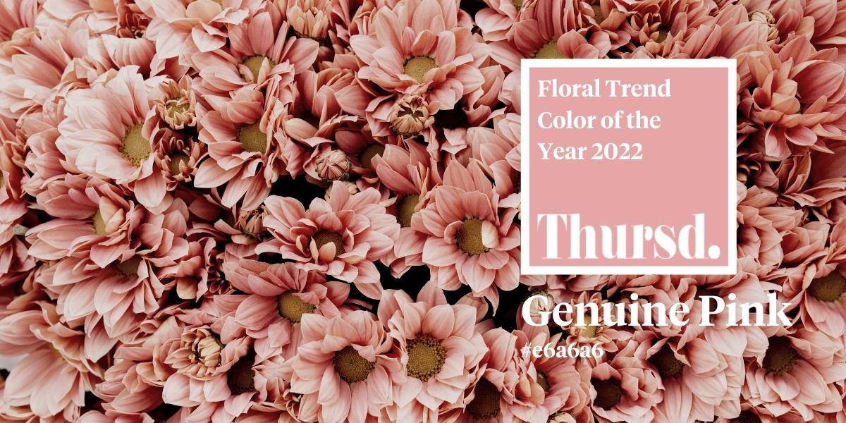 Thursd Floral Trend Color 2022 - Genuine Pink - Article onThursd