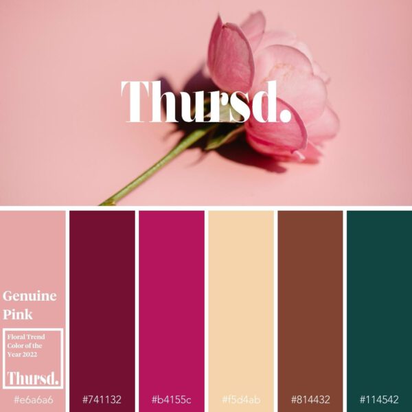 Thursd Floral Color Trend 2022 - Genuine Pink Color Palette