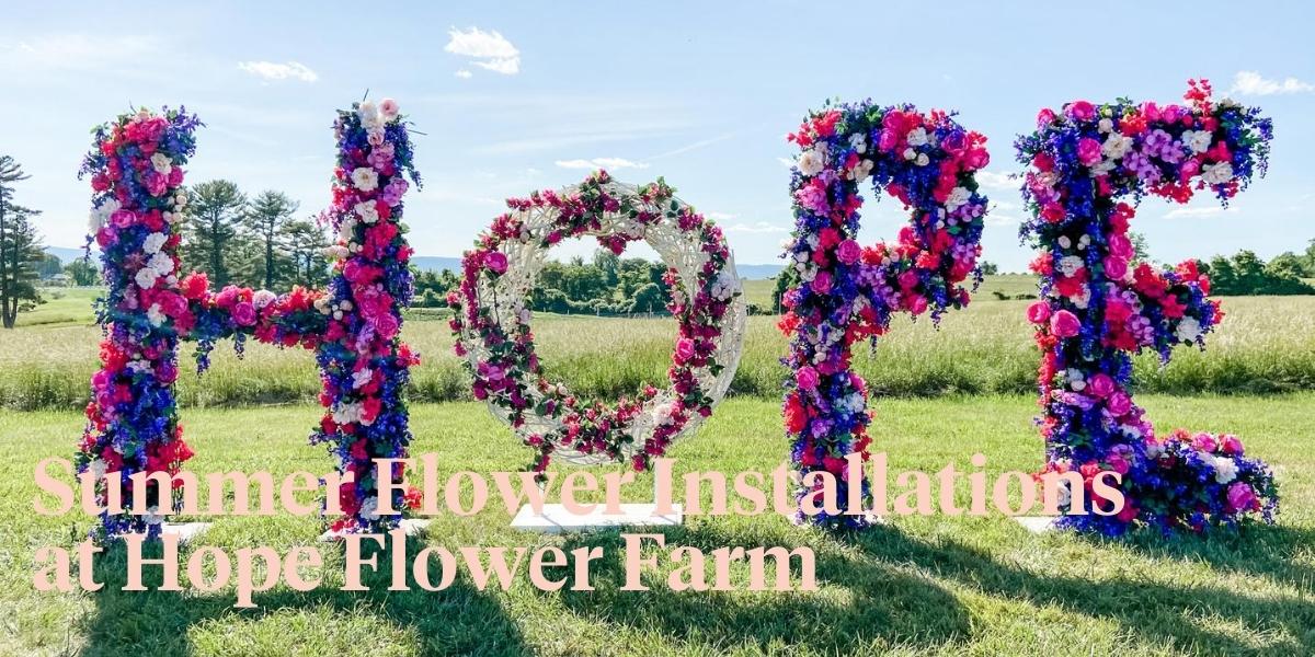 Instaproof Summer Flowers with Holly Heider Chapple - Thursd Article - Header Image