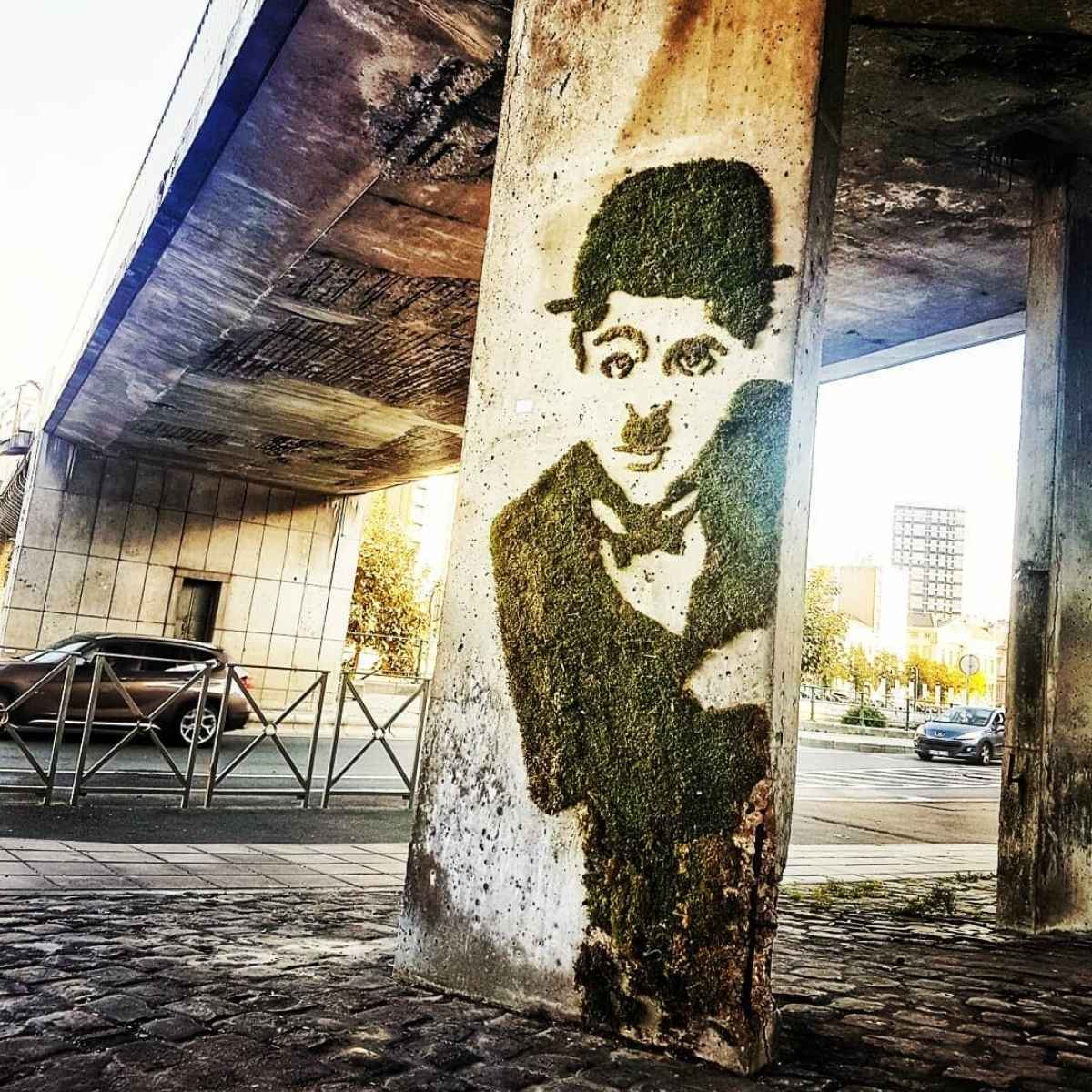 The Art of Moss Graffiti and How to Do it Yourself Charlie Chaplin