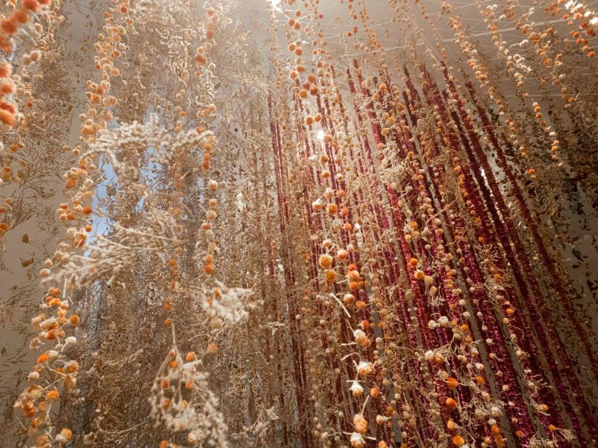 Passageways filled with dried flowers by Rebecca Louise Law on Thursd