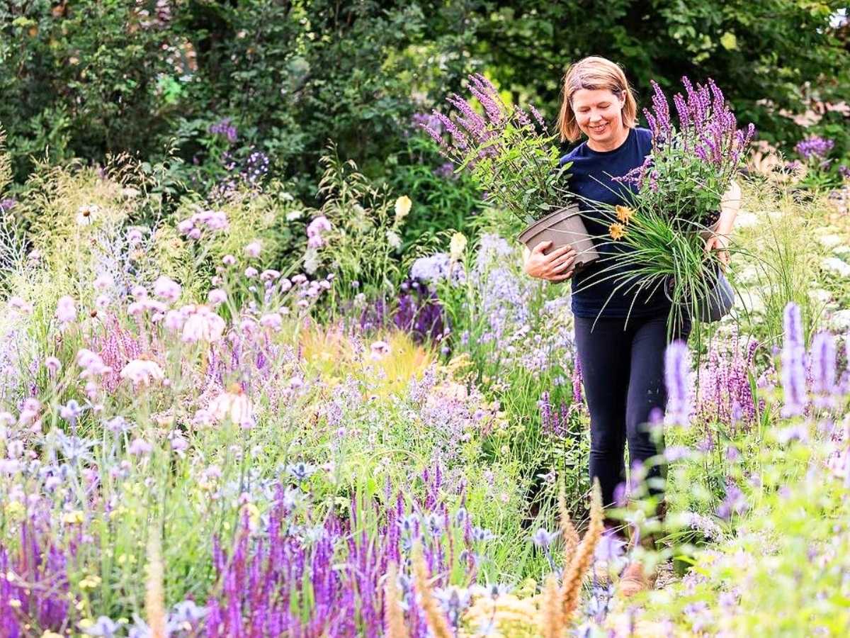 RHS Hampton Flower Garden Festival