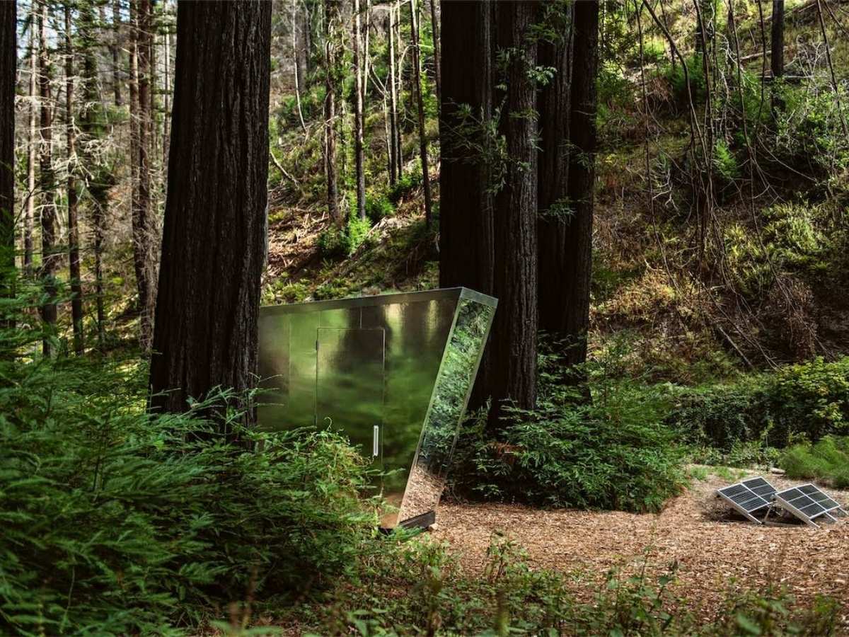 The Portal camouflaged toilet in woods on Thursd