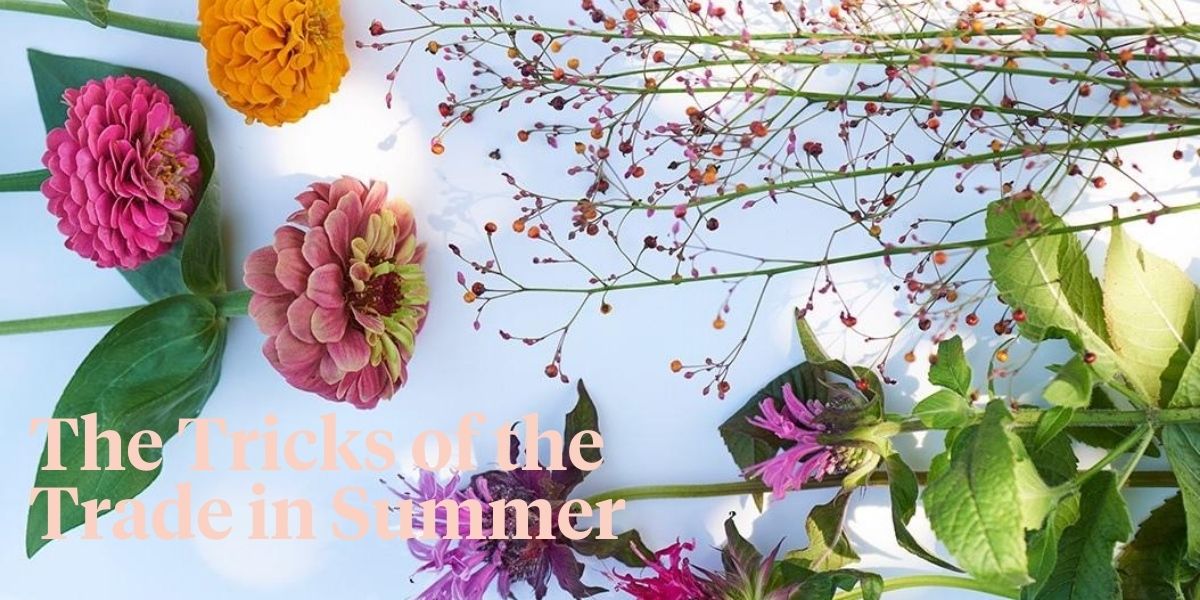 Women Showing Skin, Flowers in the Bin? - Thursd Article - Header Image