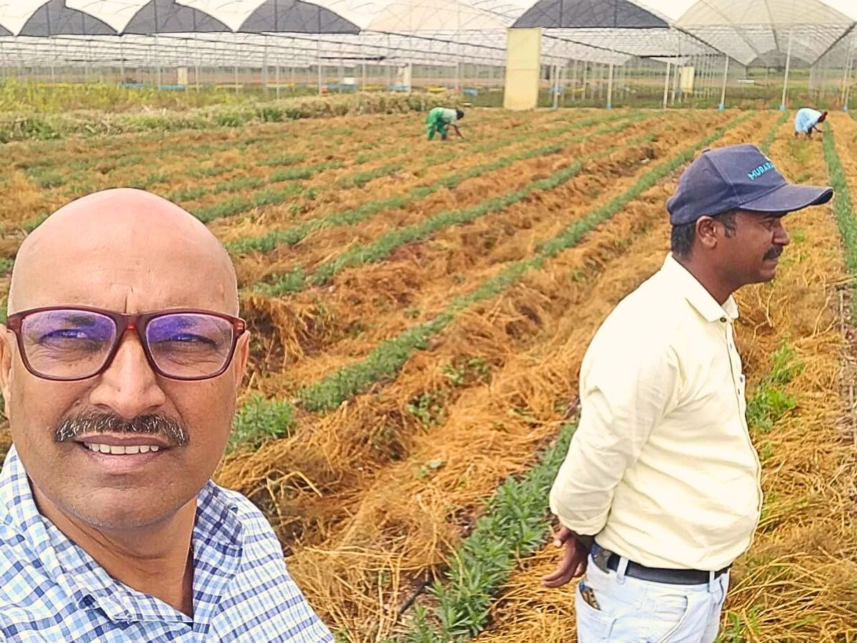 Sunfloritech Ltd Shows How to Cultivate Sustainability Through Soil Health Management