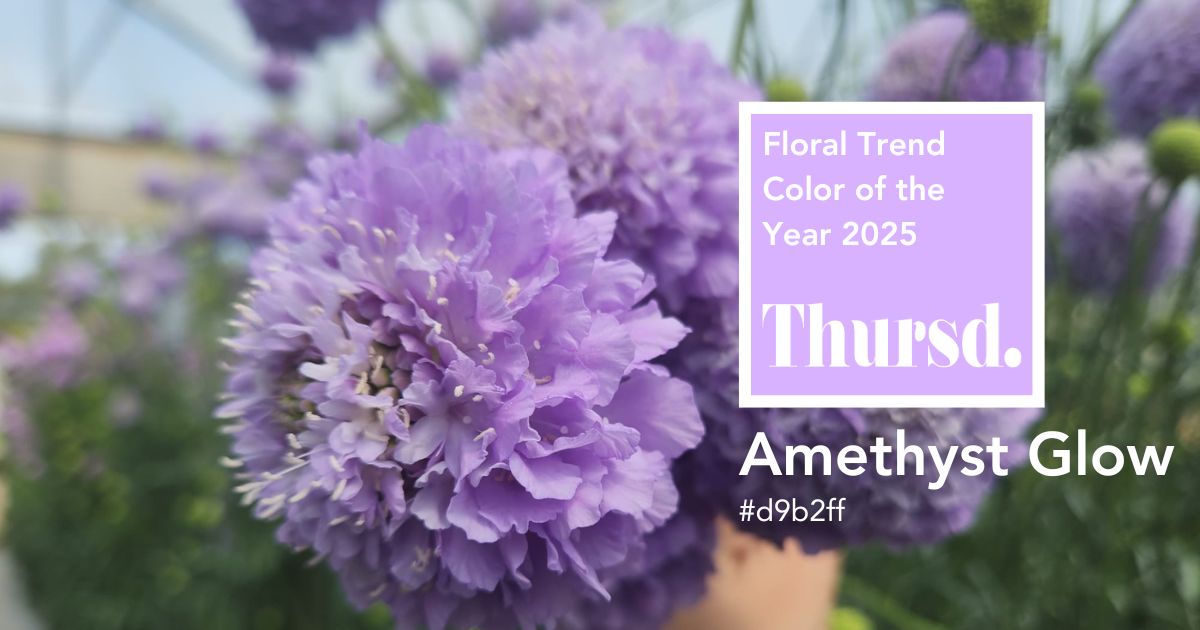 Floral Trend Color 2025