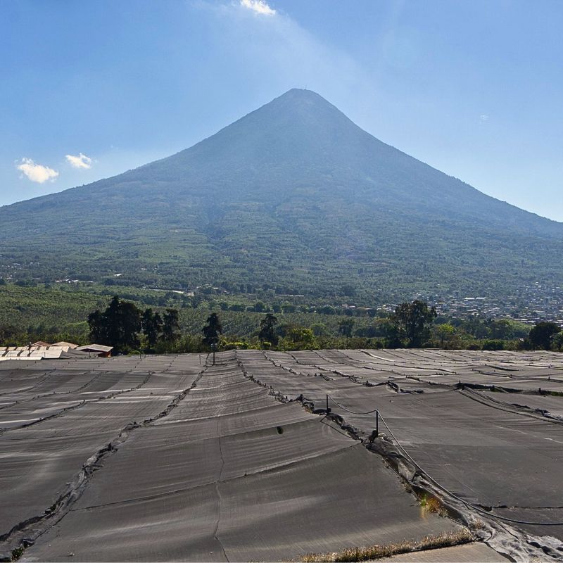 Volcano at Tak Global Guatemala